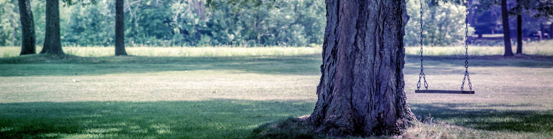 La Economía de la Longevidad en Castilla y León