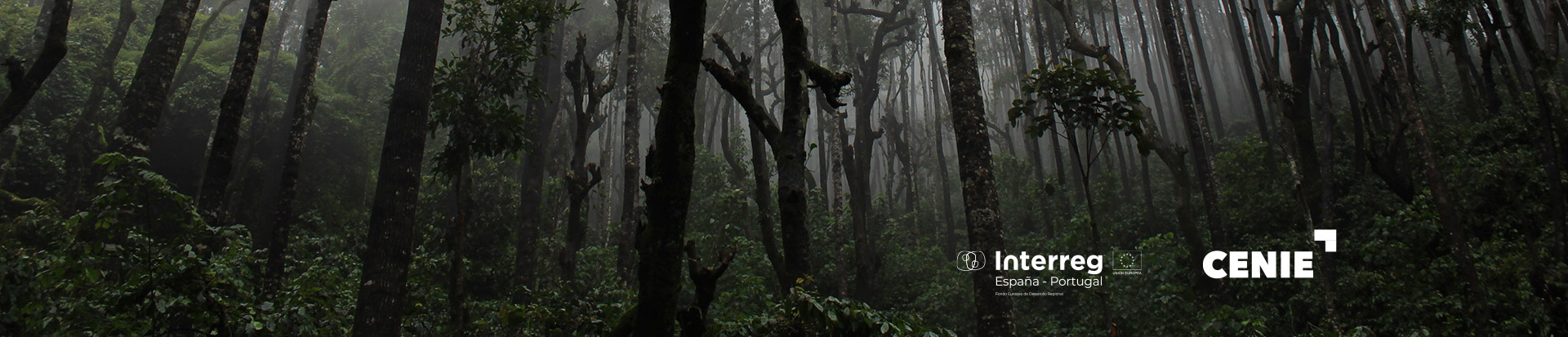 Envejeciendo en la frontera