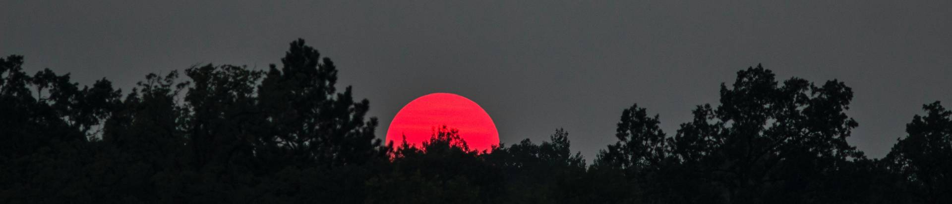 Las nuevas sociedades longevas