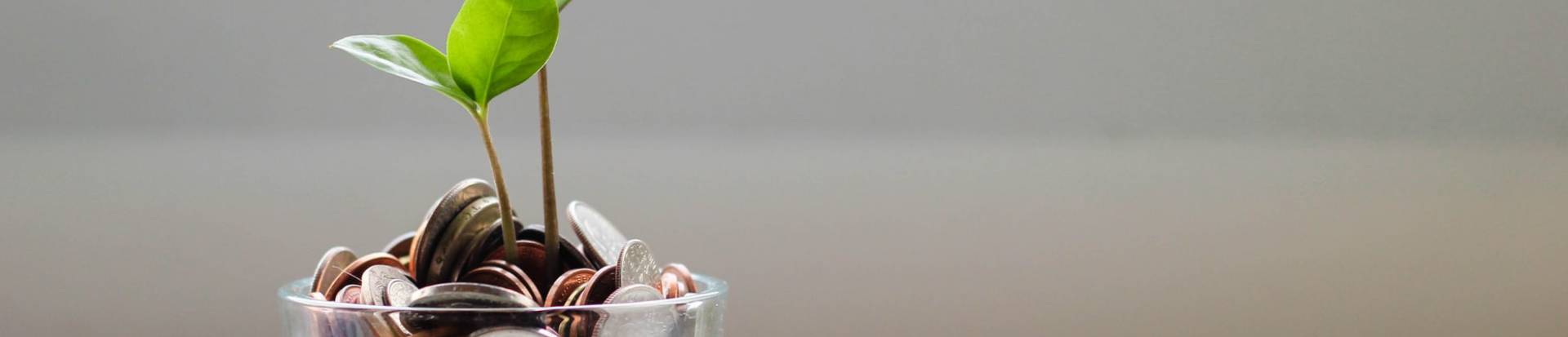 CENIE lanza un test para entender y mejorar la capacidad financiera de los españoles