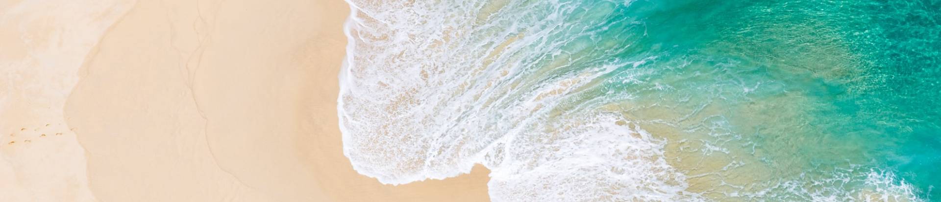 3rd Meeting - Artificial Intelligence: the road to secure longevity