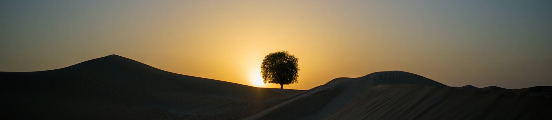 Seventh webinar - "RESEARCH AND LONGEVITY: Seeking positive answers for long lives".