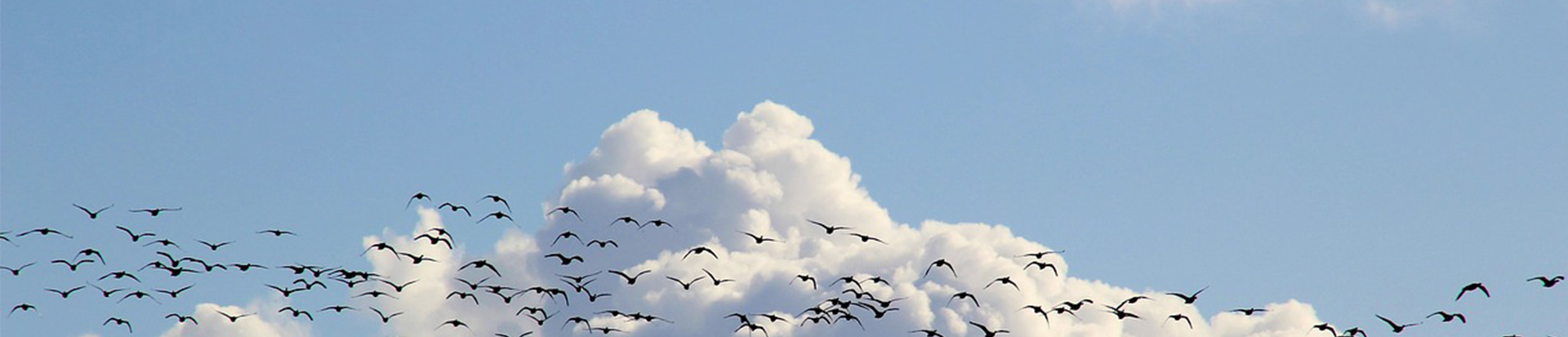 Salamanca reuniu 400 profissionais da área da deficiência e do envelhecimento 