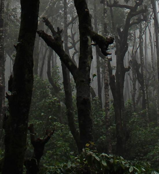 Envejeciendo en la frontera