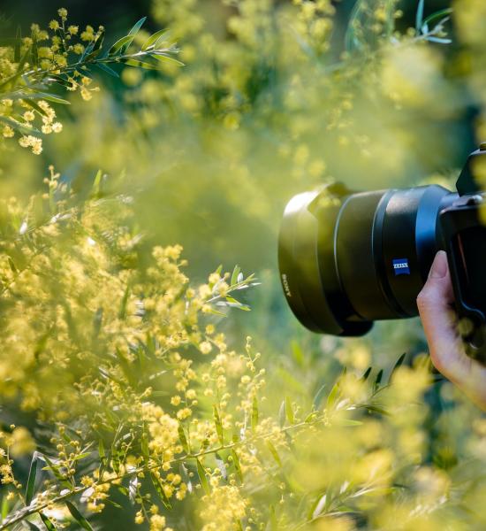 Photo contest: "A Janela" becomes the winner of the CENIE Grand Prize