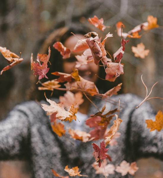 Resolution of the call for tenders for R&D&I work on longevity in demonstration phase