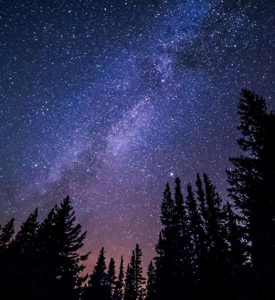 The CENIE Researchers' Encounter opens the doors to new solutions to provide quality of life for the elderly