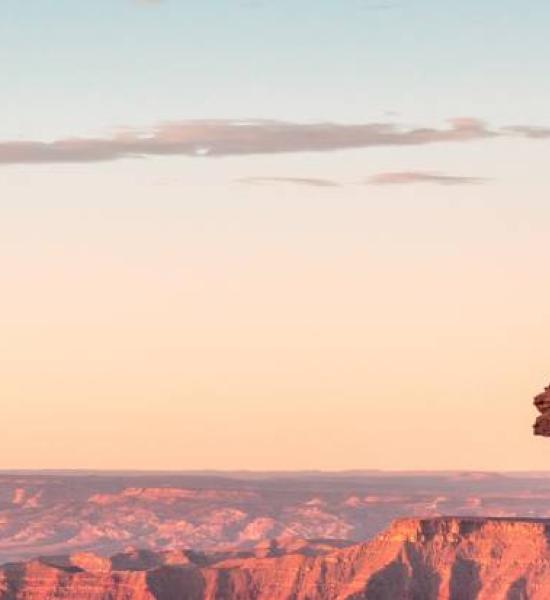 El valor de las comparaciones internacionales para la investigación sobre el envejecimiento