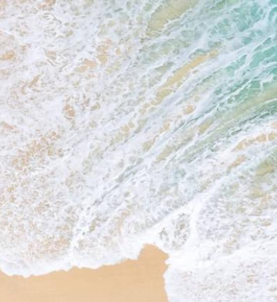 3rd Meeting - Artificial Intelligence: the road to secure longevity