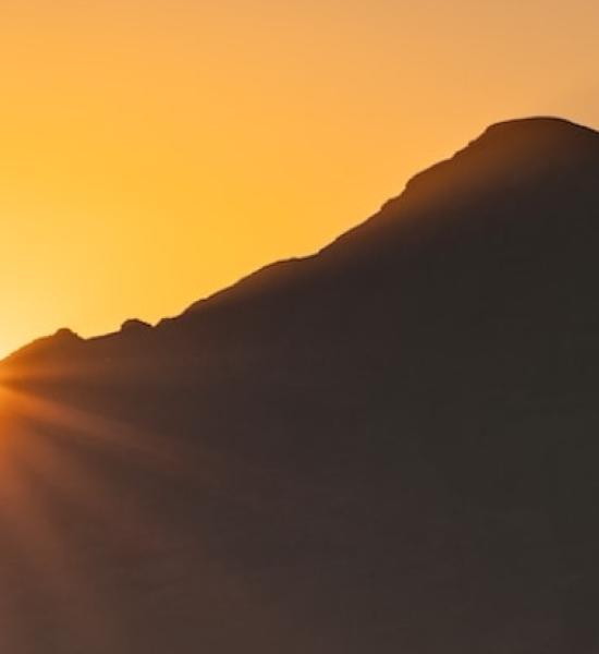 Cenie presents the guide to intergenerationality