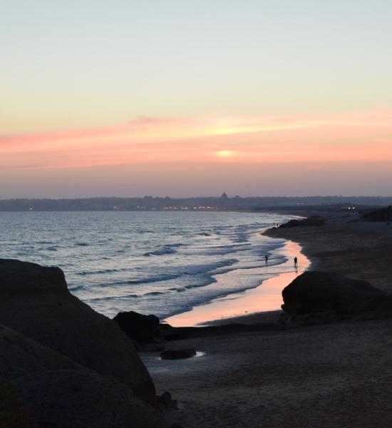 I Healthy Ageing Workshop - Live Well, Grow Older Better