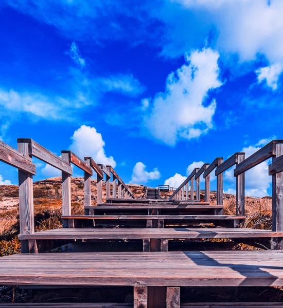 Internacional Workshop - CENIE