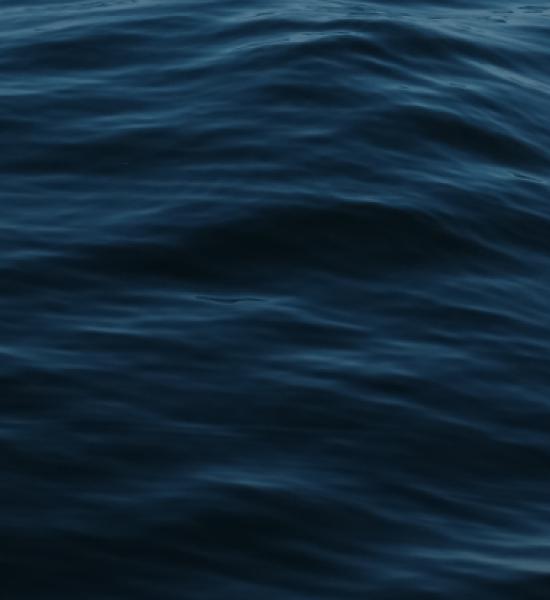 Salud Financiera - CENIE presenta la investigación: “Salud Financiera: nuestras decisiones y el futuro” 