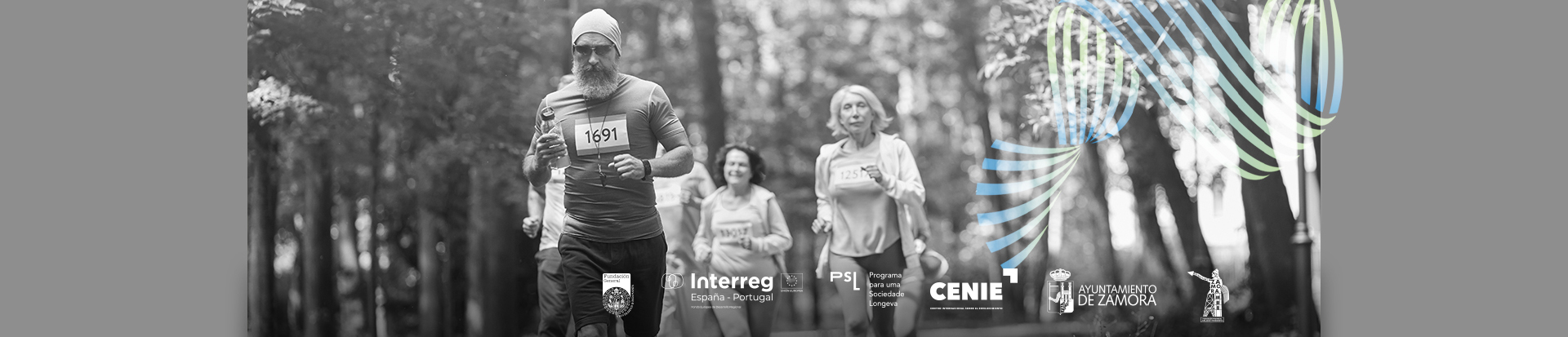  Implementação de um sistema para a promoção do envelhecimento saudável da população idosa